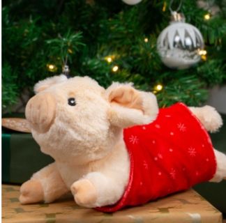 Ancol Paloma Pig in Blanket