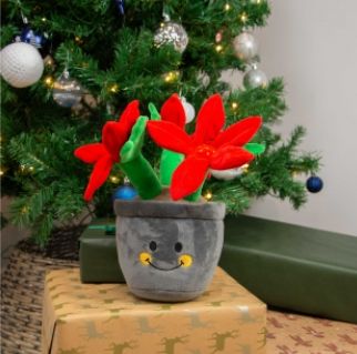 Ancol Henrietta Poinsetta