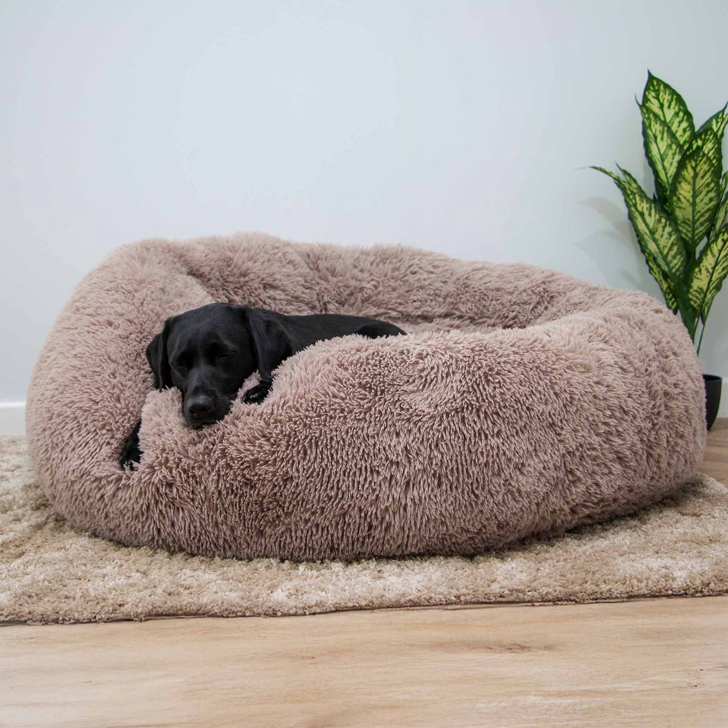 Ancol Giant Super Plush Donut Bed 130cm Oatmeal