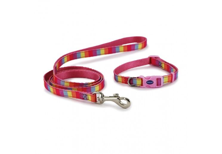 Ancol Small Bite Rainbow Collar Lead Set Pink
