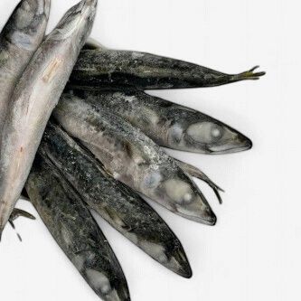 DAF Mackerel 1kg