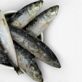 DAF Sardines 1kg
