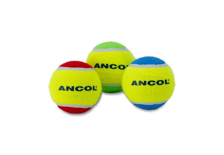 Ancol Playtime Chase Ancol Tennis Balls 3 PCS