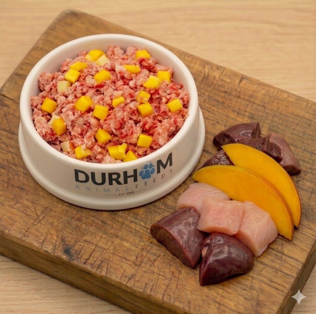 DAF Chicken &amp; Mango 454g