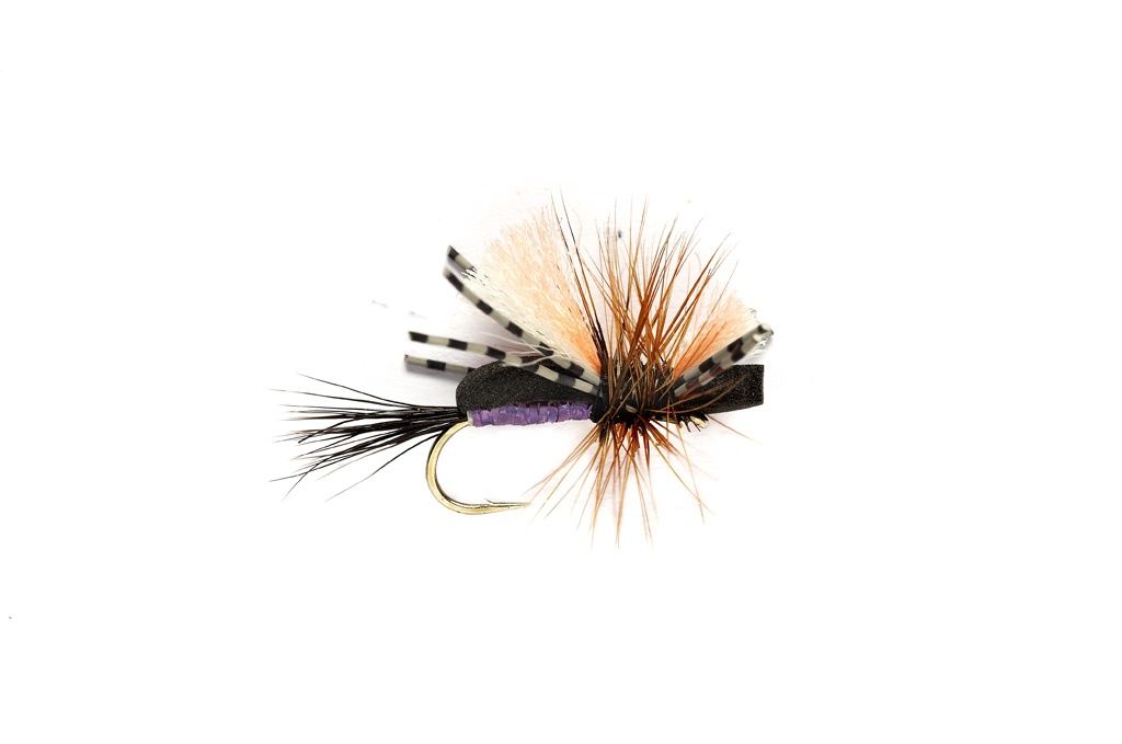 Holo Humpy, Size: 12, Color: Purple