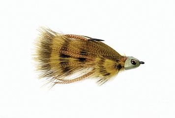 Frankenstein Sculpin, Color: Olive, Size: 4