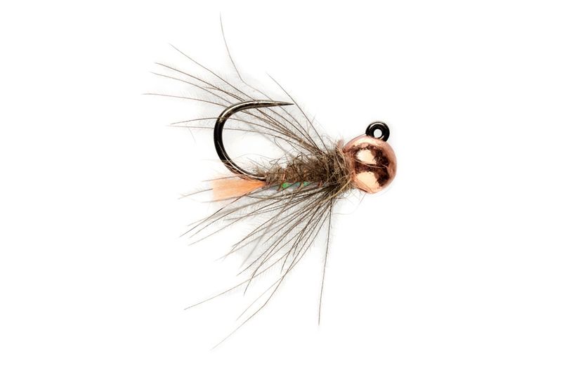 Olsen&#39;s Hare&#39;s Ear Blowtorch