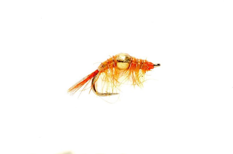 Bead Body Scud