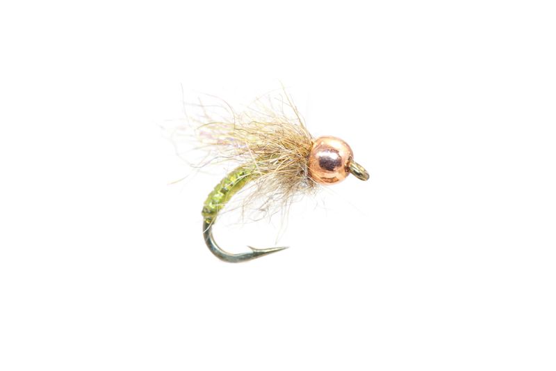 Ice Pupa