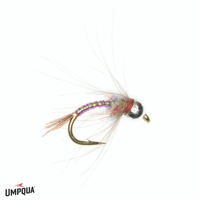 Rainbow Warrior CDC