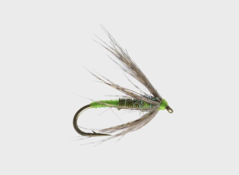 Dally&#39;s Mother&#39;s Day Caddis Soft Hackle