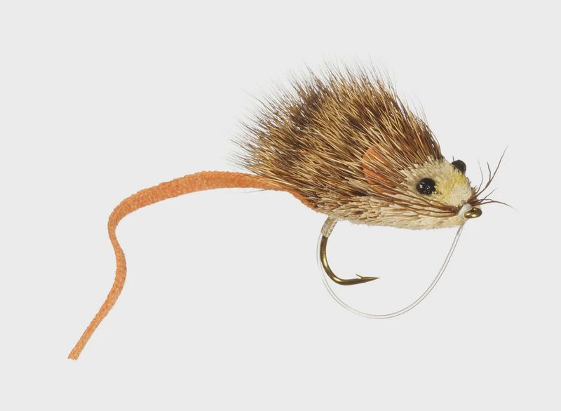 Whitlock&#39;s MouseRat