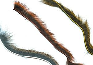 Pine Squirrel Zonkers