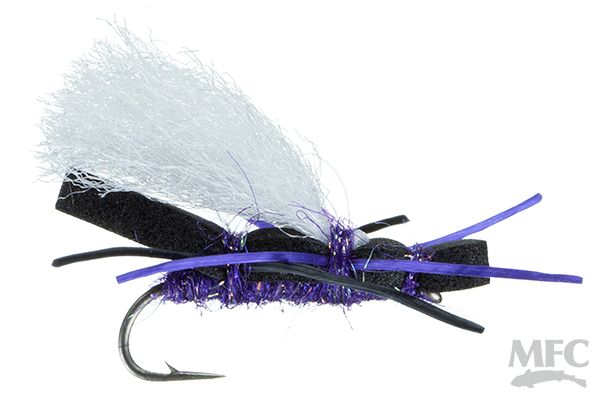 Willy's Ant, Color: Black/Purple, Size: 10