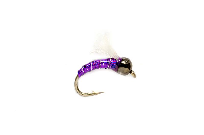 Lexi&#39;s Holo Z Midge