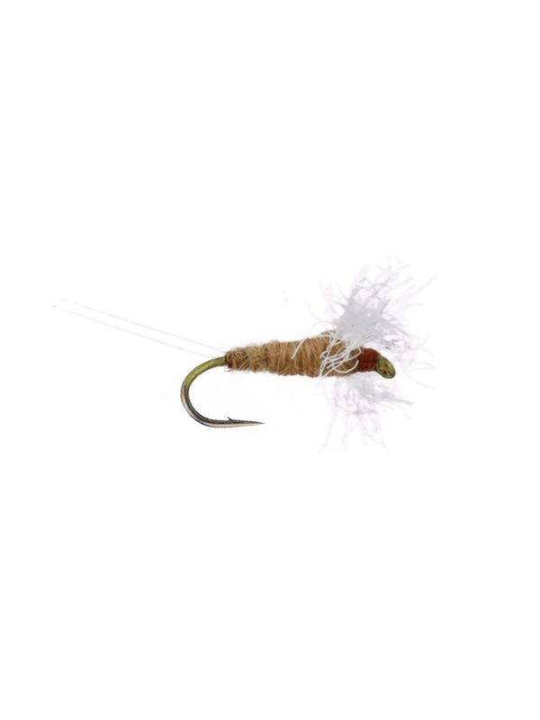 Sulphur Spinner
