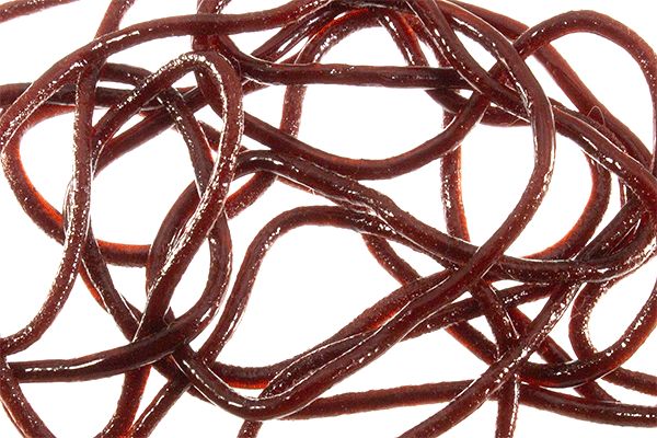 Trina&#39;s Squirm Material