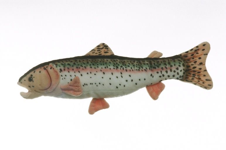 Rainbow Trout Stuffed Toy
