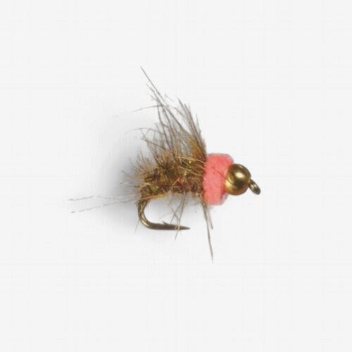 Bethke's Pink Squirrel