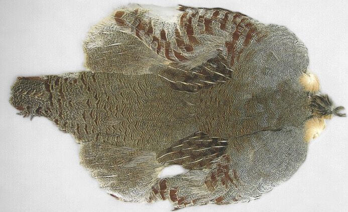 Partridge Skin