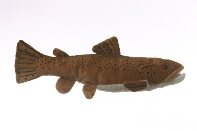 Brown Trout Stuffed Toy, Size: 10"