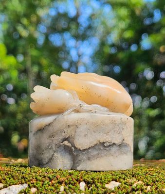 ShouShan GaoShan TaiJi Seal Stone with Fingered Citron Top Carving