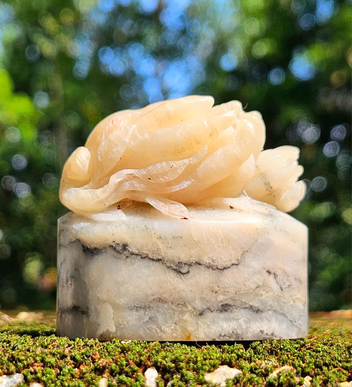 ShouShan GaoShan TaiJi Seal Stone with Fingered Citron Top Carving