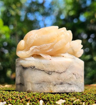 ShouShan GaoShan TaiJi Seal Stone with Fingered Citron Top Carving