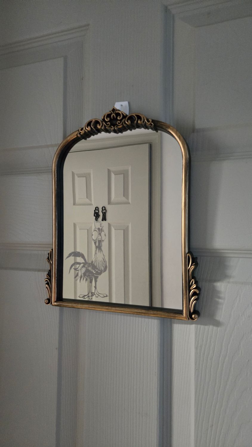 Silly Chicken Engrave Mirror