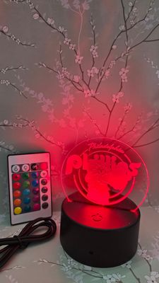 Philadelphia Phillies Phanatic  Acrylic LED Light / Lamp / Nightlight