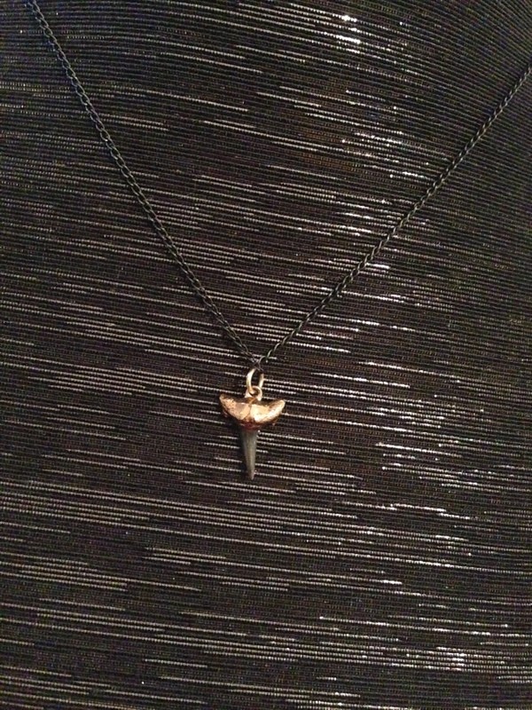 Sheila Fajl Delicate Shark's Tooth on Oxidized Chain