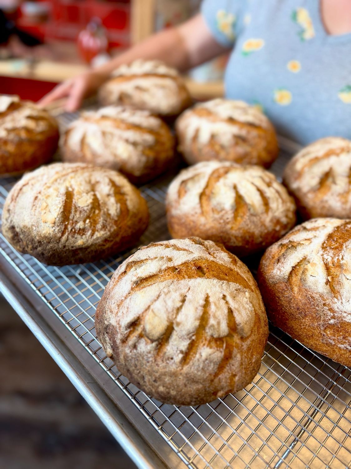 Pre Order Large Sourdough Loaf