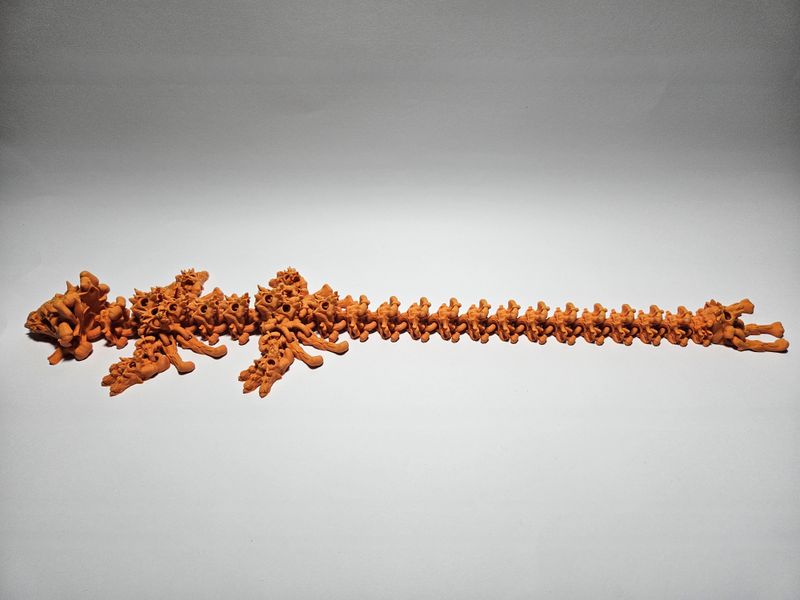 Hollow Dragon
