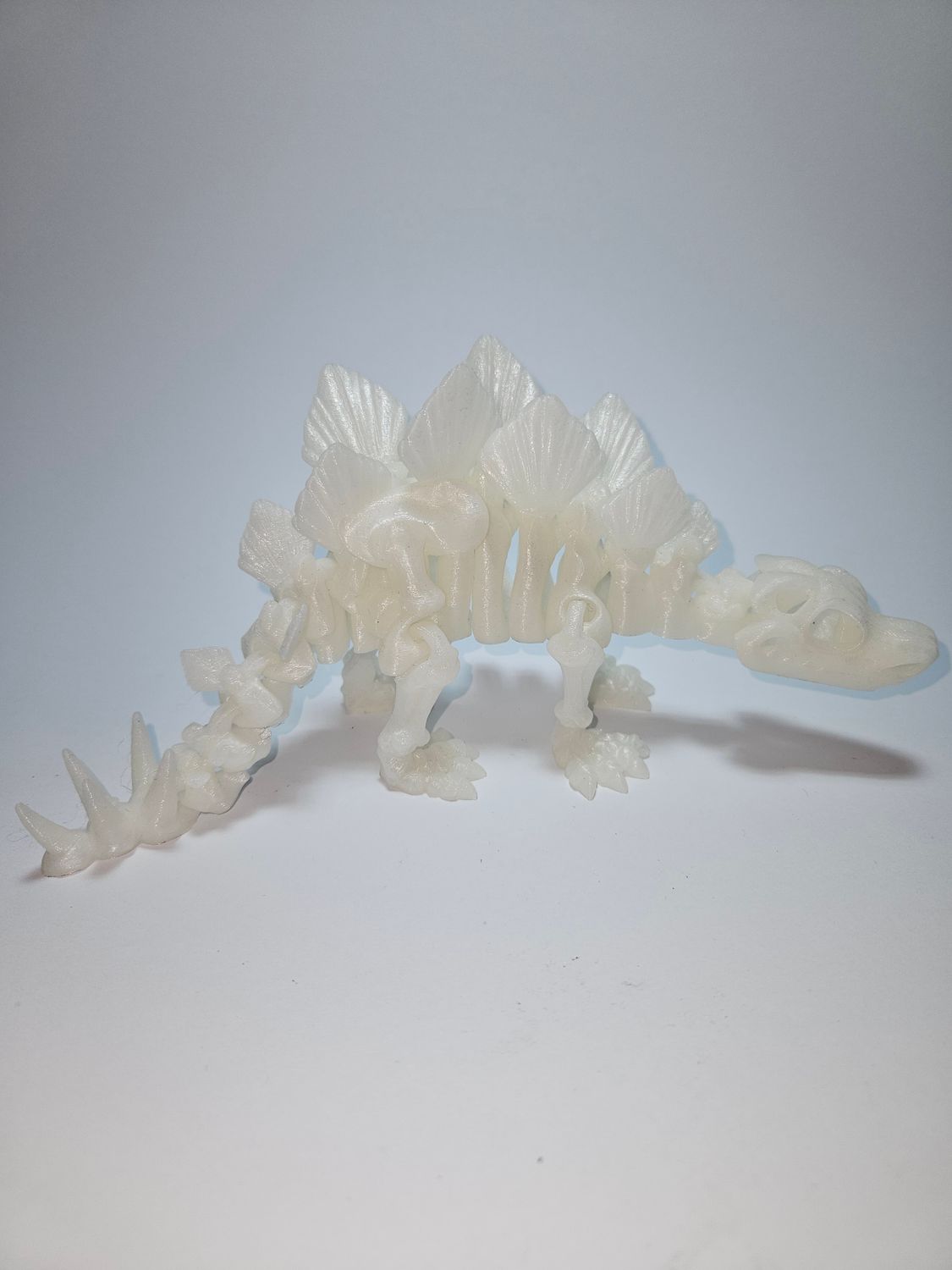 Stegosaurus