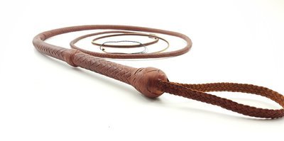 WHIPS IN STOCK
