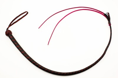 Dog Quirt 