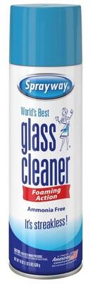 Glass Cleaner 19oz Can
