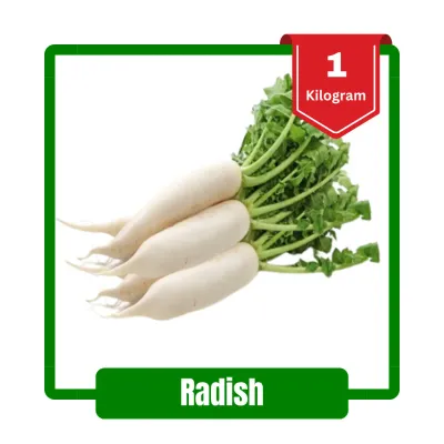 Radish