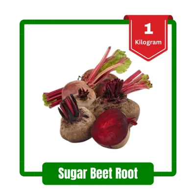 Sugar Beet Root