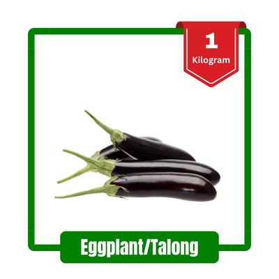 Eggplant/Talong