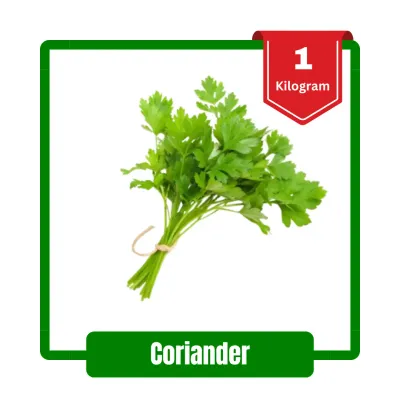 Coriander