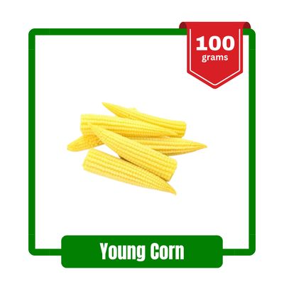 Fresh Young Corn