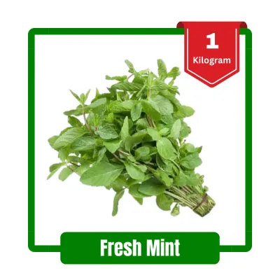 Fresh Mint