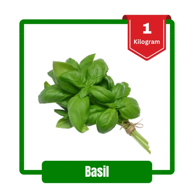 Basil