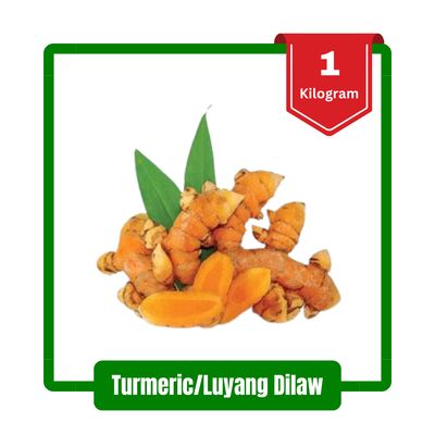 Turmeric/Luyang Dilaw