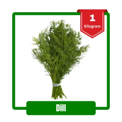Dill