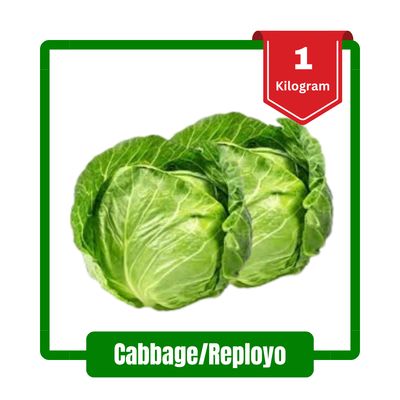 Cabbage/Repolyo