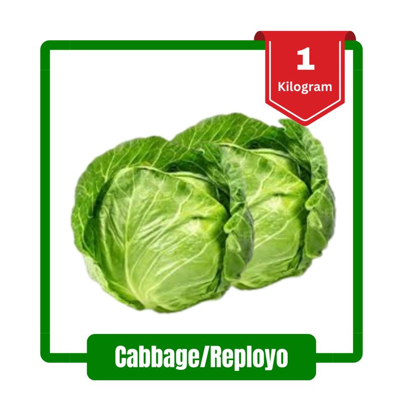 Cabbage/Repolyo