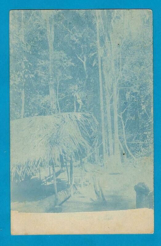 BOLIVIA illustrated postal card 1911 to Germany
