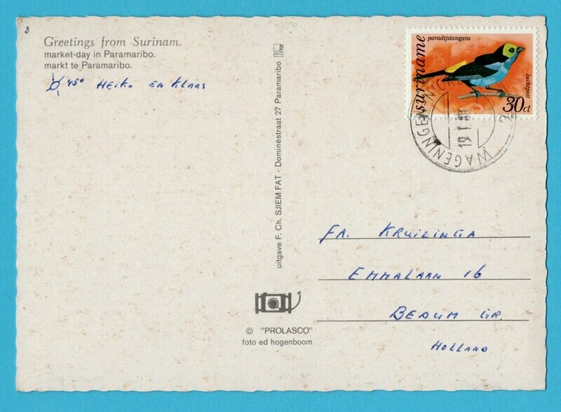SURINAME prentbriefkaart 1980 Wageningen-Nickerie